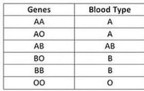 How To Determine Your Blood Type Trinity Holistic Wellness