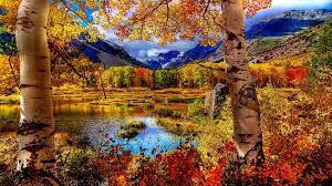 High quality autumn scene wallpaper. Autumn Scene Wallpapers Wallpaper Cave