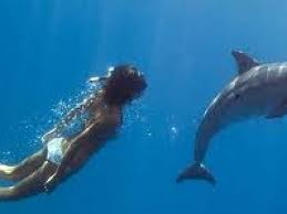 Non potrete nuotare effettivamente con i delfini, ma questa esperienza unica. Come Nuotare Con I Delfini In Portogallo Viaggiamo
