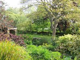 Margery fish was the voice of gardening in the 1960s and her advice and enthusiasm for horticulture has stood the test of time. Margery Fish S Cottage Garden Paradise Cottage Garden Farmhouse Garden Garden