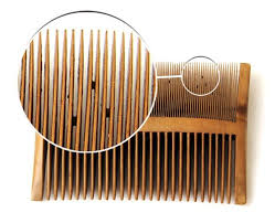Mary Rose Artifacts Over 70 Nit Combs Were Found Some With Dead Nits Still In Them Like The One Here Tudor History Tudor British History