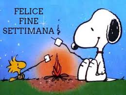 Due fedi nuziali e rose rosse isolate su bianco. Buon Weekend 105 Immagini E Frasi Per Augurare Un Buon Fine Settimana Frasidadedicare