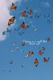 Pinterest starannastar i n s p o in 2019 hatterek. Aesthetic Sky Blue Butterfly Wallpaper Butterfly Background Edgy Wallpaper