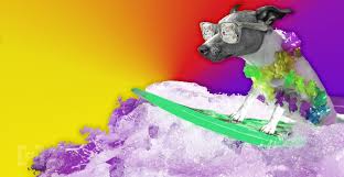 Get top exchanges, markets, and more. Gene Simmons Nennt Sich Doge Gott Doge Kurs Pumpt Beincrypto