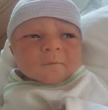 New Artificer Familiar