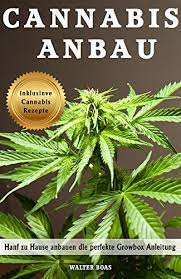 Einige von euch haben danach gefragt und hier ist es: Cannabis Anbau Hanf Zu Hause Anbauen Die Perfekte Growbox Anleitung Inklusive Cannabis Rezepte Ebook Boas Walter Amazon De Kindle Shop