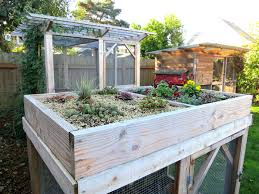 Read on to learn about the types of plants to include in your chicken garden: Viles Archive Chicken Coop With Herb Garden Roof