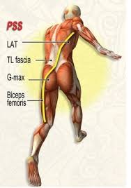 A pulled hamstring is a strain of one or more of the hamstring muscles. Hamstring Massage And Mobilization