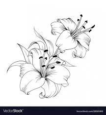 Pin By Christina Cooperman On Ink Me Baby Lily Flower Drawing Flower Drawing Lilies Drawing