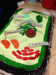 There Are Cells Made Our Of Cake Clay Or Play Do Great Way For Students To Learn About The Different Parts Of A Plant Cell Model Edible Cell Plant Cell Cake
