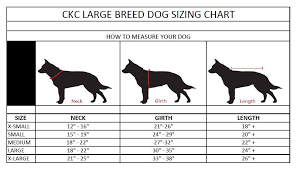 28 All Inclusive Sizing Chart For Dogs
