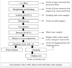 Flow Diagram Of Poultry Processing In Wet Markets With