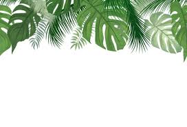 Ai, gif, eps (cmyk and rgb), jpg, pdf, and png. 259 261 Leaf Border Stock Illustrations Cliparts And Royalty Free Leaf Border Vectors