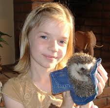 SLAMS: December 2007