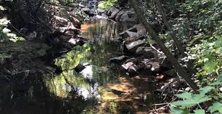 Maybe you would like to learn more about one of these? The 30 Best Campgrounds Near Alexandria Virginia