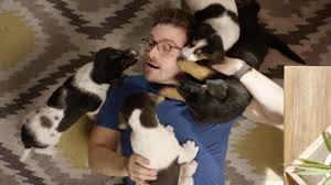 It is chairs, this time! Uk Employee Benefits University Of Kentucky Federal Credit Union