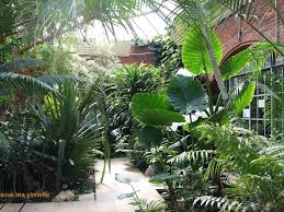 Serre Botanique De Metz Petits Jardins Tropicaux Jardin Tropical Jardin Botanique