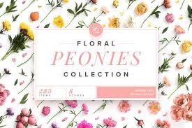 Download Floral Peonies Collection Scene Creator Custom Scene Creative Market