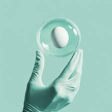 First Live Birth Using Procedure That Matures Eggs Outside Body - Human  Progress