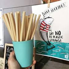 How to grow a cactus. Be A Nice Human Avoid Single Use Plastic Make Your Part Help Save The Planet Plastickills Avoidsingleuse Recicle Reuse Picture Of Happy Cactus Bio Shop Vegan Food Fuerteventura Tripadvisor