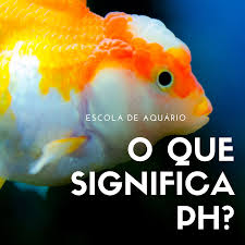 Pin Em Aquarios Agua Doce Fresh Water Aquarium
