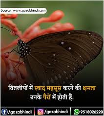 Check spelling or type a new query. Butterfly Pose Hindi
