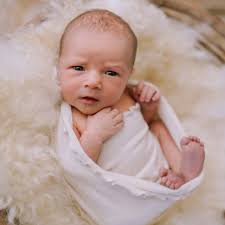 Sandi Petersen Photography