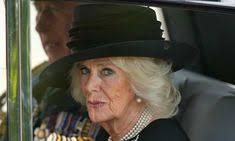 Fay Ennis (fay_ennis)