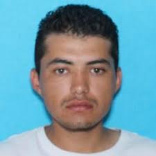 Idaho issues Amber Alert for 16-year-old believed to have been lured online  and in possible danger