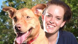 Three-legged dog looking for new home