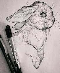 This tutorial is perfect for all art enthusiasts. 75 Easy And Cool Drawing Ideas For Beginners To Try Buzz Hippy Animal Drawings Cool Art Drawings Animal Sketches