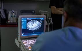 Ultrasonografi Bogazici Veteriner Poliklinigi