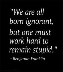 Image result for stupidity quotes
