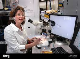 Heroux hi-res stock photography and images