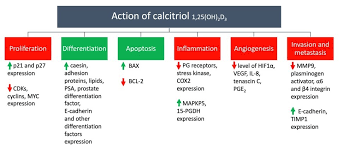 The pancreas is an organ that releases enzymes involved with digestion, and hormones to regular blood sugar levels. Gene Mutations Which Restrict Vitamin D Activation Cyp27b1 Results In Many Health Problems March 2020 Vitamindwiki