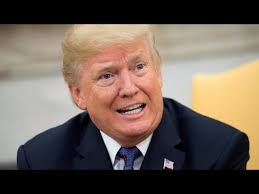 Is This Footage Real? Analyzing Barb Shoup's Reaction #shorts #predator  #UFO