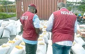 If you you need to log on to the national drug law enforcement agency (ndlea) employment portal from here Editorial Why Ndlea Needs Tougher Laws