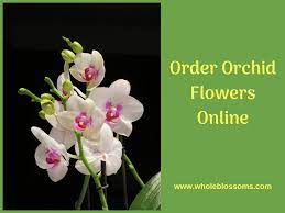 Gorgeous Orchids Online For Your Wedding Decoration Orchid Flower Orchids Flowers For Sale