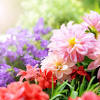 Instead bury them in the compost pile. 1