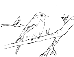 We've searched high and low for free bird coloring pages. Bluebird Coloring Page Art Starts