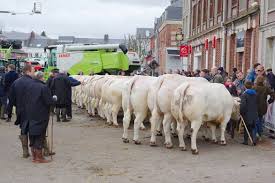 31 gîtes, locations, résidences de vacances, appartements et campings à fauville en caux et ses environs. Lpblipzm5fylpm