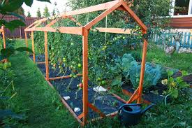 Hier zeige ich dir alle möglichkeiten und alle bauschritte von (a)nfang bis ein(z)ug. Tomatenhaus Selber Bauen Schritt Fur Schritt Anleitung