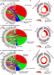 Image result for Dexfenfluramine