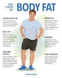 Belly, Hips, Thighs: Where Your Body Fat Is Matters | Weight Loss |  Myfitnesspal