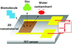 Check spelling or type a new query. Two Dimensional Nanomaterial Based Field Effect Transistors For Chemical And Biological Sensing Chemical Society Reviews Rsc Publishing