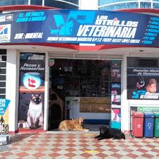 Los Potrillos Veterinaria Tunja.