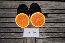 Cara Cara navel orange tree: a profile