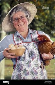 A farmer's wife wearing glasses and a straw hat holds a red hen and a  basket of newly-laid eggs. She has rosy cheeks, grey hair and a big smile  Stock Photo -