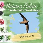 Nature’s Palette Watercolor Workshop: Chimney swift