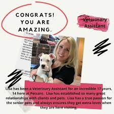 Petcare hospital & wellness center. Petcare Hospital And Wellness Center Home Facebook
